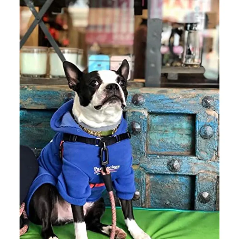 Dog Hoodie Pet Clothing, Cats Hoodies, Stylish Streetwear Blue Dog Sweatshirt Tracksuits, Dog Outfit For Dog Cat Puppy