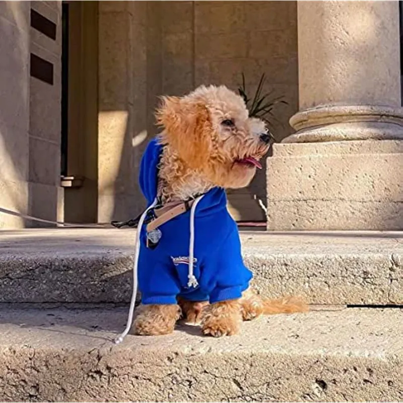 Dog Hoodie Pet Clothing, Cats Hoodies, Stylish Streetwear Blue Dog Sweatshirt Tracksuits, Dog Outfit For Dog Cat Puppy