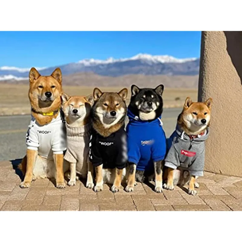 Dog Hoodie Pet Clothing, Cats Hoodies, Stylish Streetwear Blue Dog Sweatshirt Tracksuits, Dog Outfit For Dog Cat Puppy