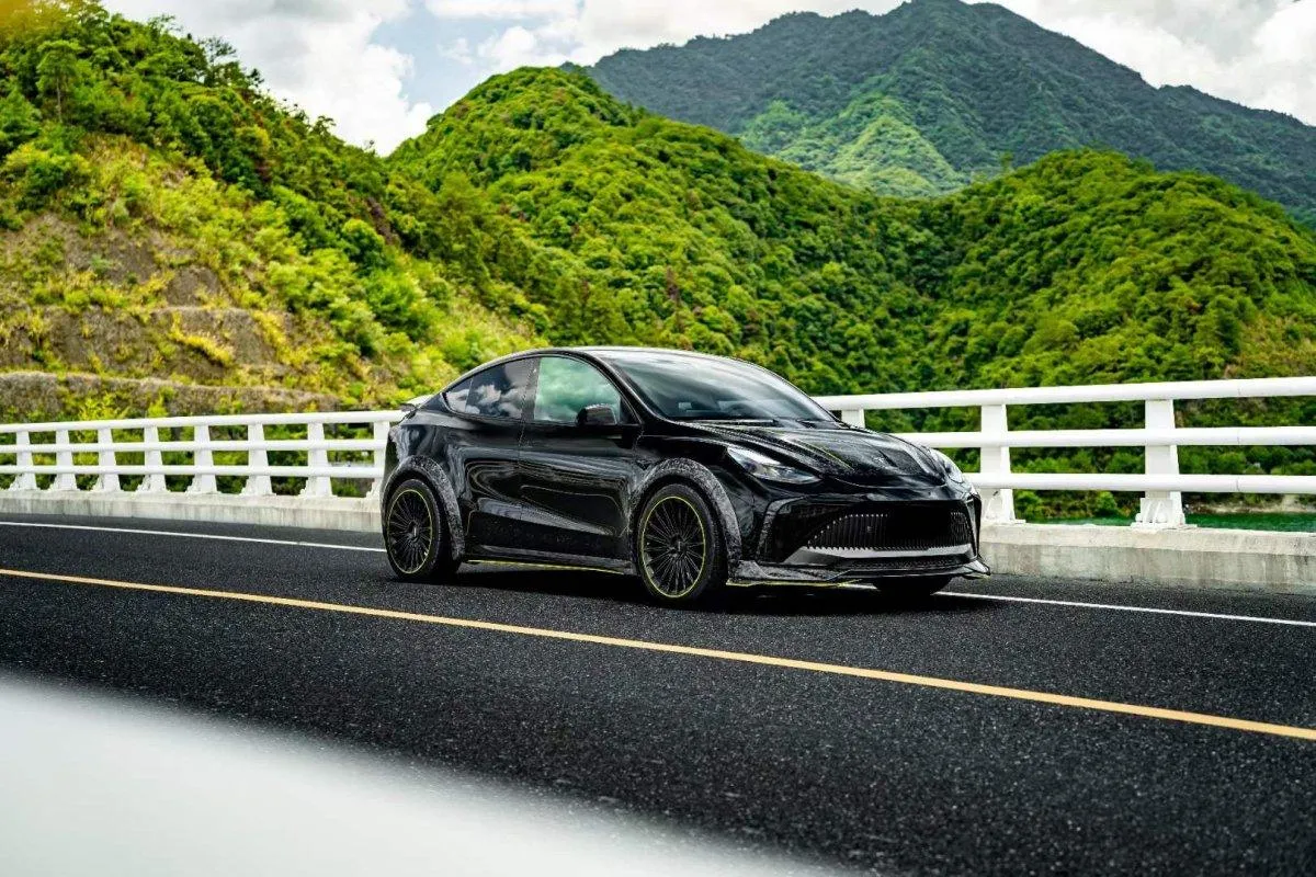 Robot Craftsman "STARSHIP" Side Skirts for Tesla Model Y Performance AWD Long Range RWD PP