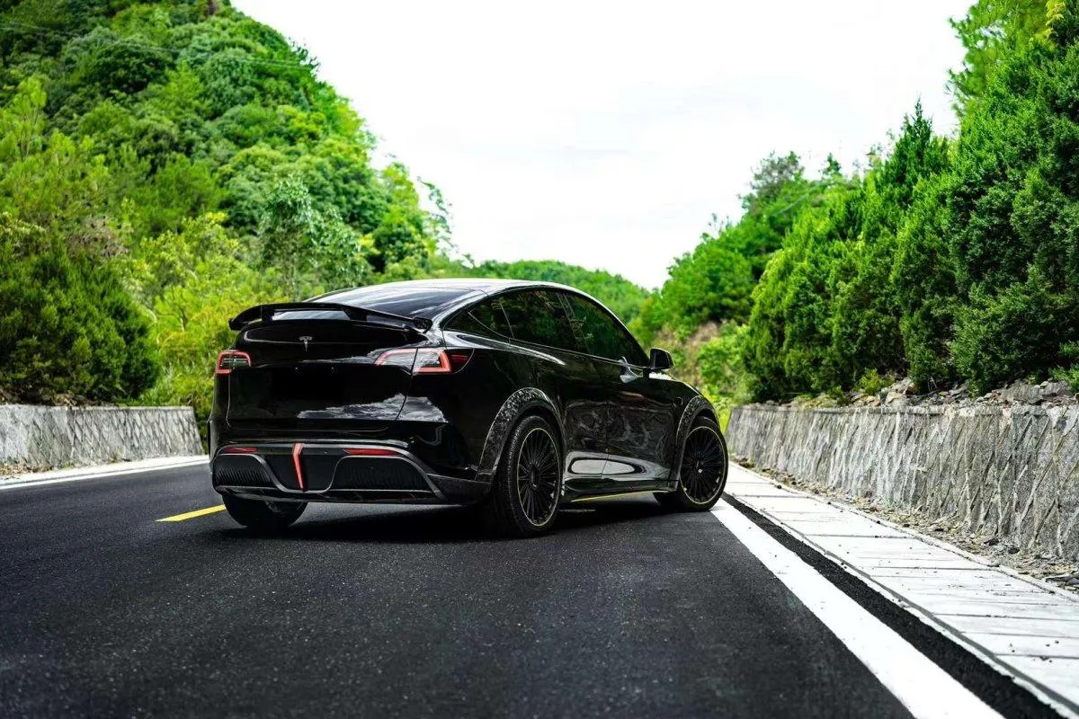 Robot Craftsman "STARSHIP" Side Skirts for Tesla Model Y Performance AWD Long Range RWD PP