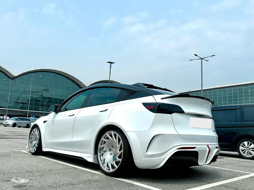 Robot Craftsman "STARSHIP" Side Skirts for Tesla Model Y Performance AWD Long Range RWD PP