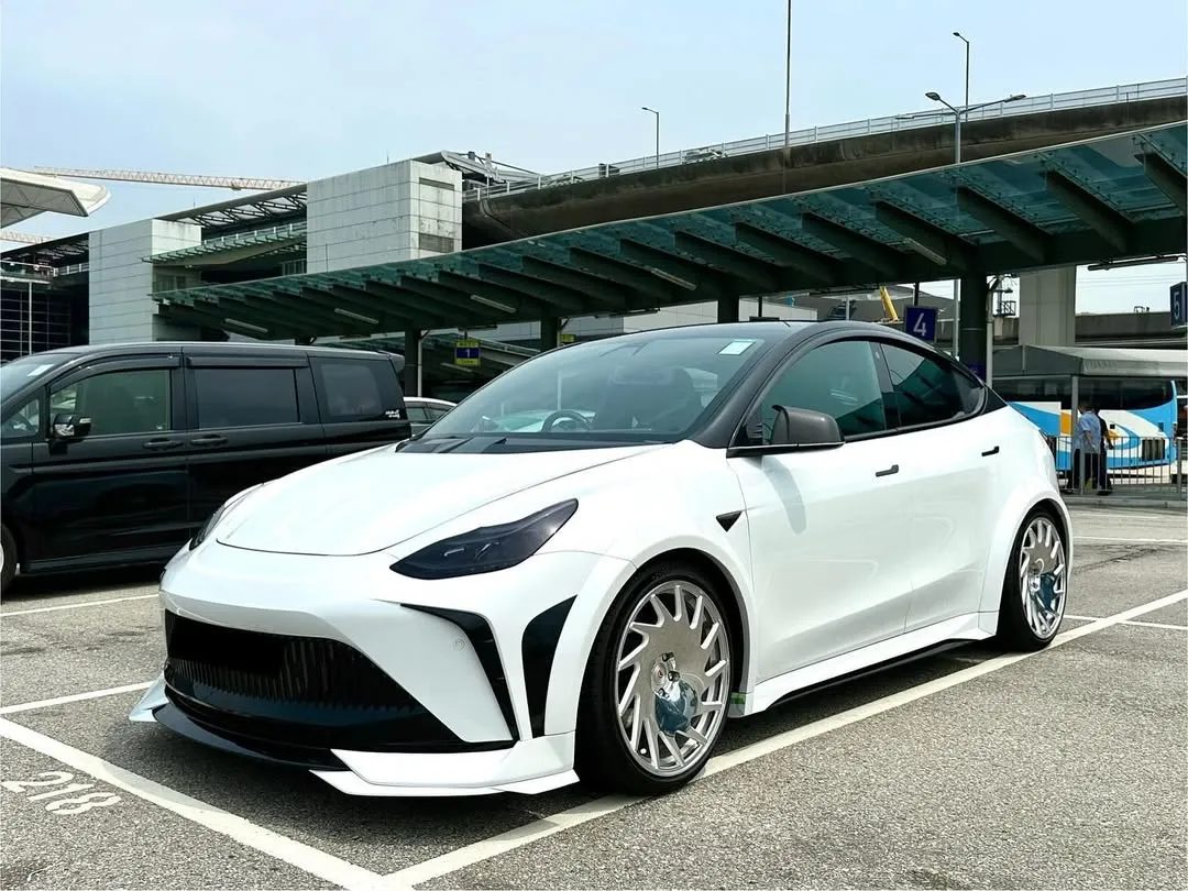 Robot Craftsman "STARSHIP" Side Skirts for Tesla Model Y Performance AWD Long Range RWD PP