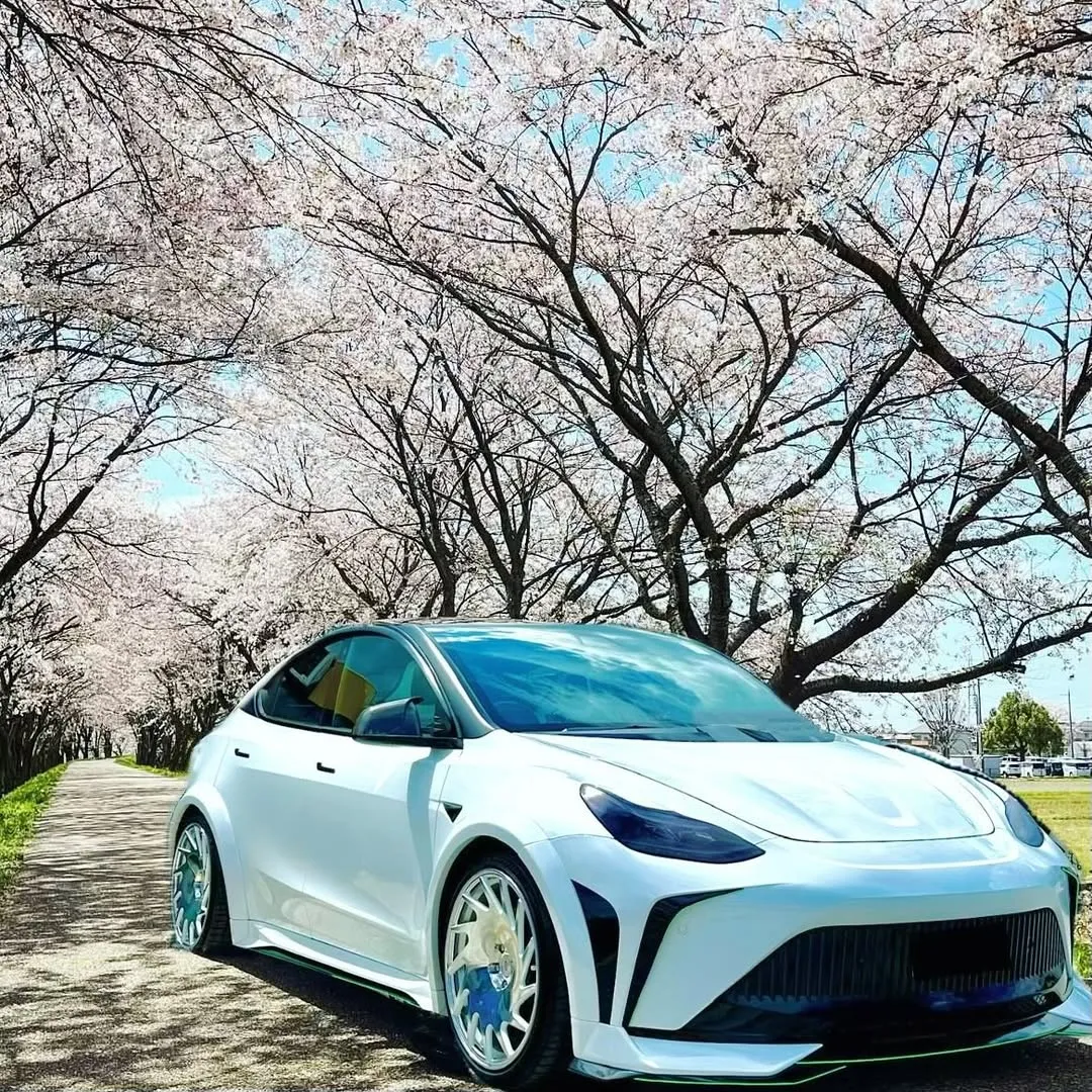 Robot Craftsman "STARSHIP" Side Skirts for Tesla Model Y Performance AWD Long Range RWD PP